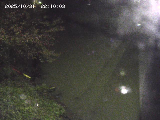 原川12025/10/31 23:50:00