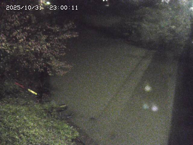 原川12025/10/31 23:50:00