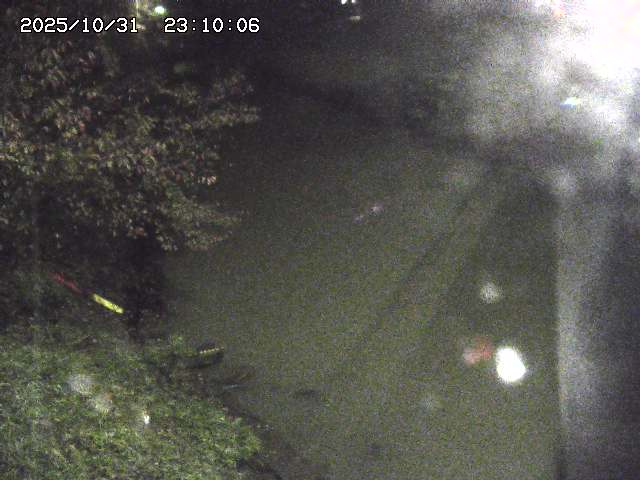 原川12025/10/31 23:50:00