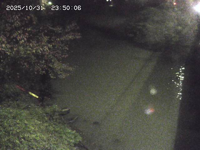 原川12025/10/31 23:50:00