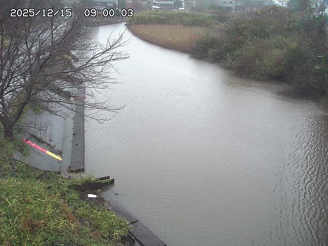 原川１2025/12/16 8:50:00