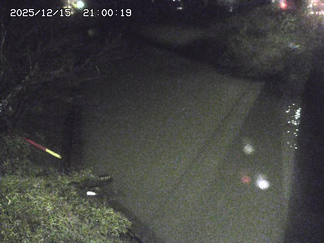 原川１2025/12/16 8:50:00