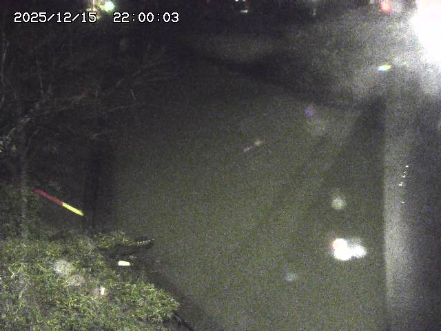 原川１2025/12/16 8:50:00