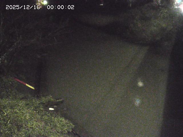 原川１2025/12/16 8:50:00