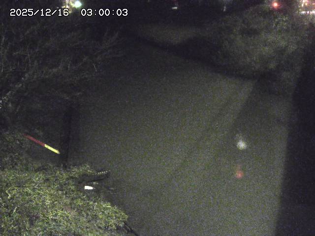 原川１2025/12/16 8:50:00