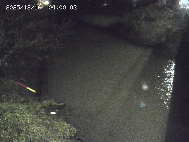 原川１2025/12/16 8:50:00