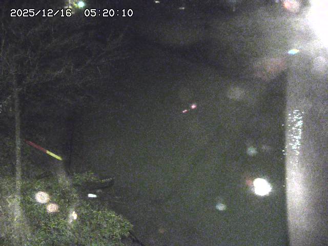 原川１2025/12/16 8:50:00