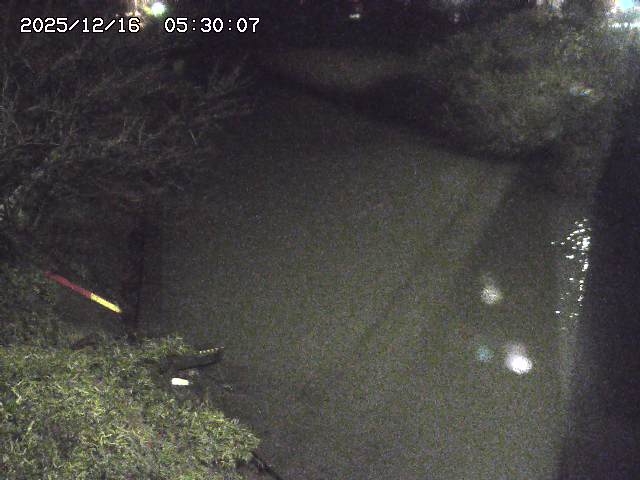 原川１2025/12/16 8:50:00