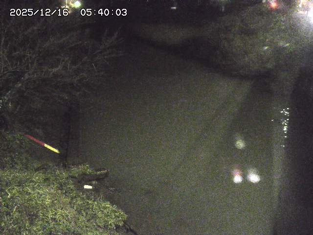 原川１2025/12/16 8:50:00