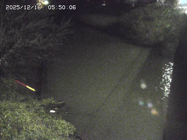 原川１2025/12/16 8:50:00