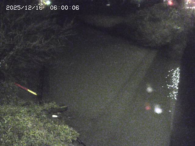 原川１2025/12/16 8:50:00