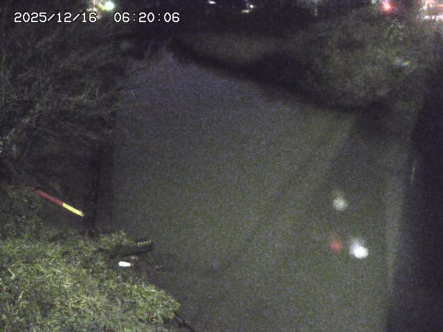 原川１2025/12/16 8:50:00