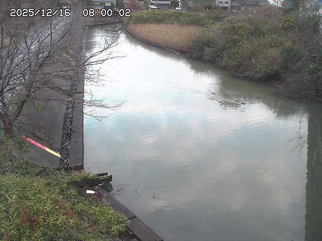 原川１2025/12/16 8:50:00