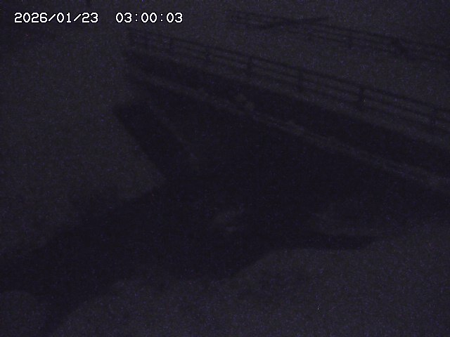 茅町川１2026/01/24 2:50:00