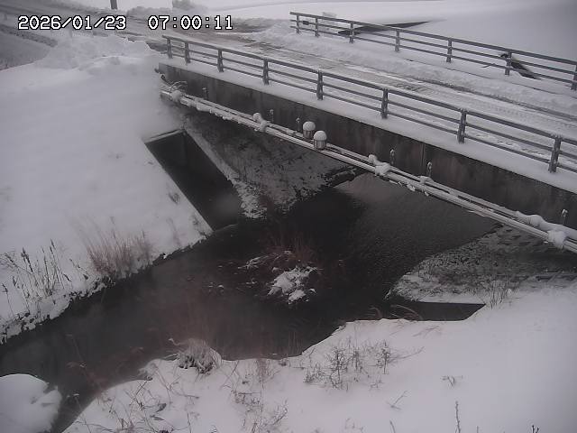 茅町川１2026/01/24 2:50:00