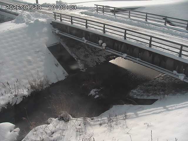 茅町川１2026/01/24 2:50:00