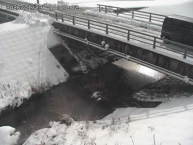 茅町川１2026/01/24 2:50:00