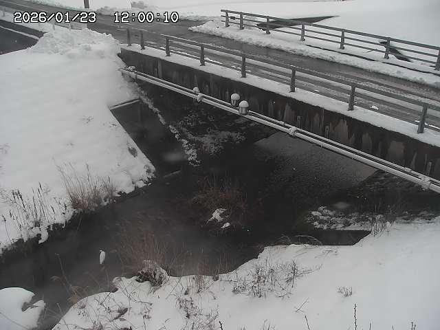 茅町川１2026/01/24 2:50:00