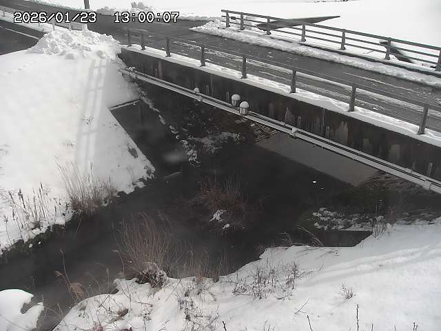 茅町川１2026/01/24 2:50:00