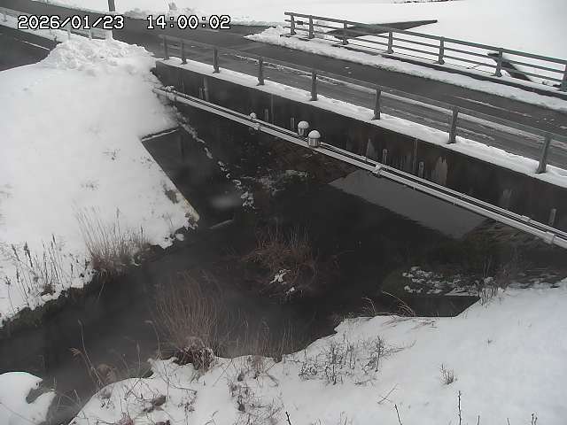 茅町川１2026/01/24 2:50:00