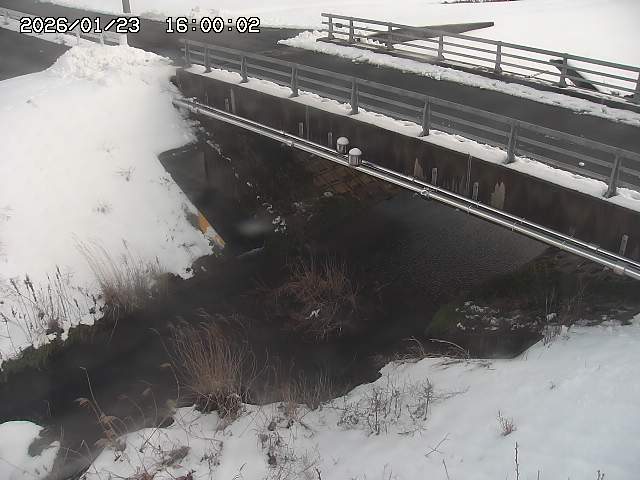 茅町川１2026/01/24 2:50:00