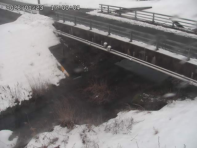 茅町川１2026/01/24 2:50:00