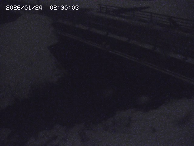 茅町川１2026/01/24 2:50:00