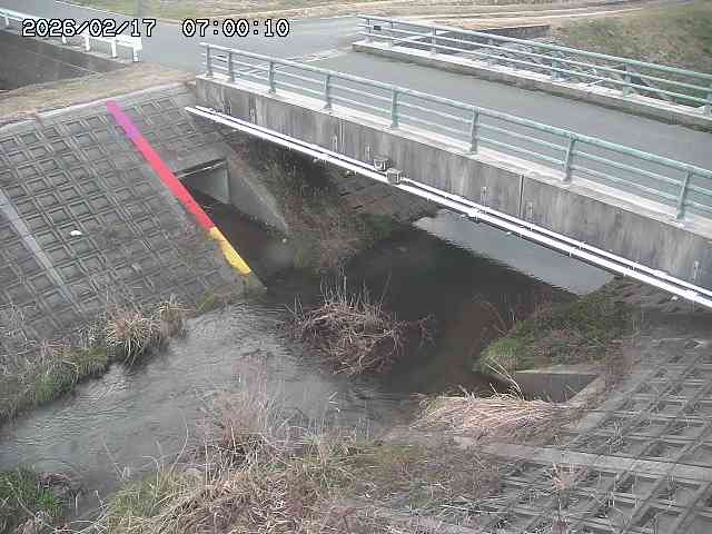 茅町川１2026/02/17 18:30:00