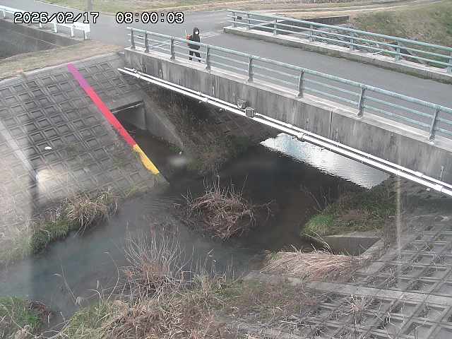 茅町川１2026/02/17 18:30:00