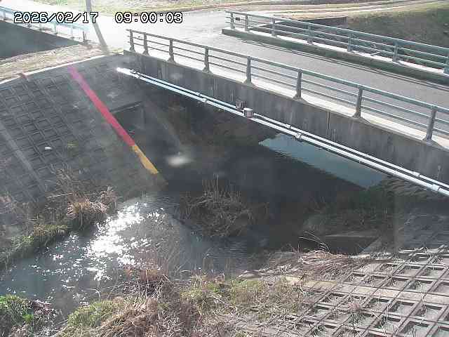 茅町川１2026/02/17 18:30:00