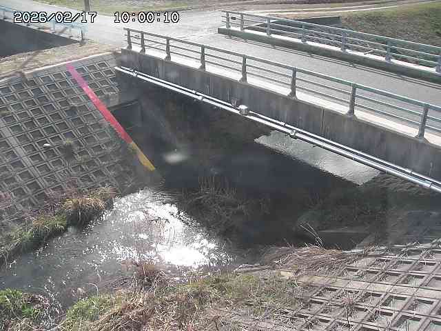 茅町川１2026/02/17 18:30:00