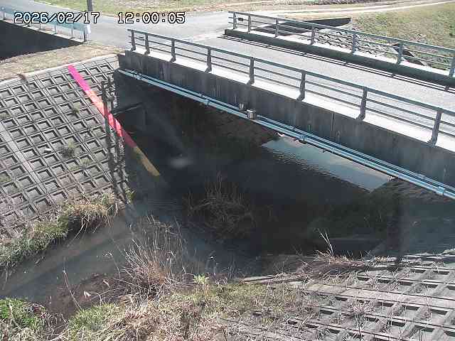 茅町川１2026/02/17 18:30:00