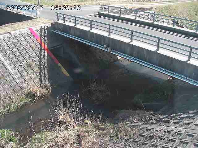 茅町川１2026/02/17 18:30:00