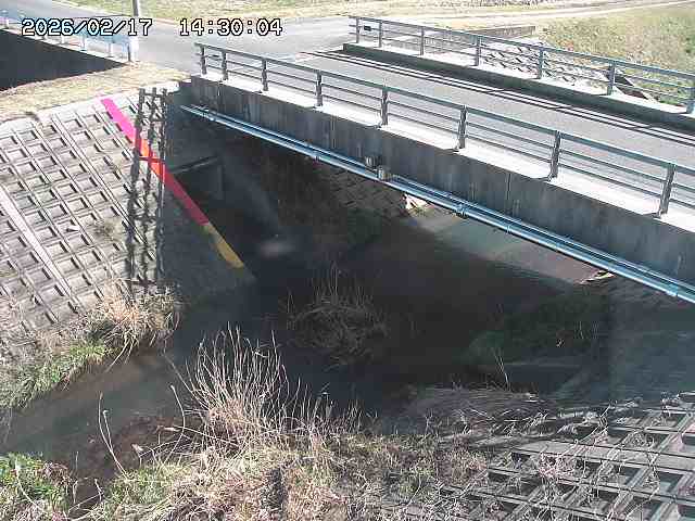 茅町川１2026/02/17 18:30:00