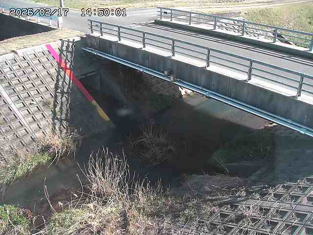 茅町川１2026/02/17 18:30:00