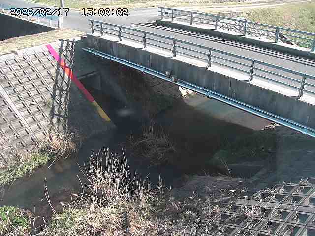 茅町川１2026/02/17 18:30:00