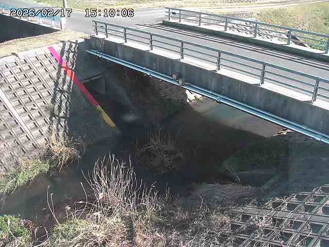 茅町川１2026/02/17 18:30:00