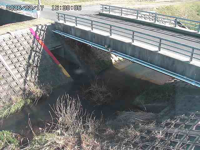 茅町川１2026/02/17 18:30:00