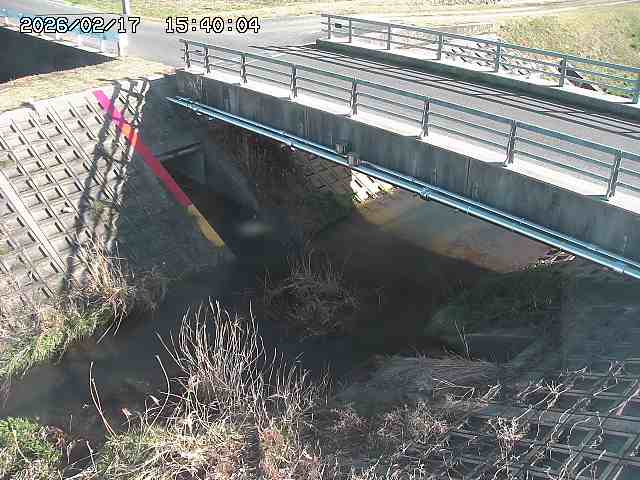 茅町川１2026/02/17 18:30:00