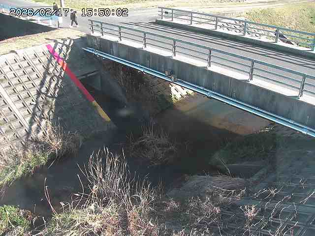 茅町川１2026/02/17 18:30:00