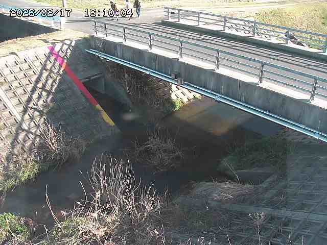 茅町川１2026/02/17 18:30:00