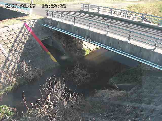 茅町川１2026/02/17 18:30:00