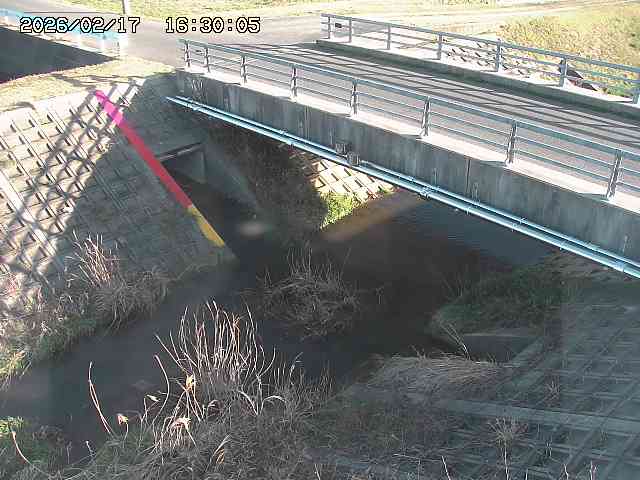 茅町川１2026/02/17 18:30:00