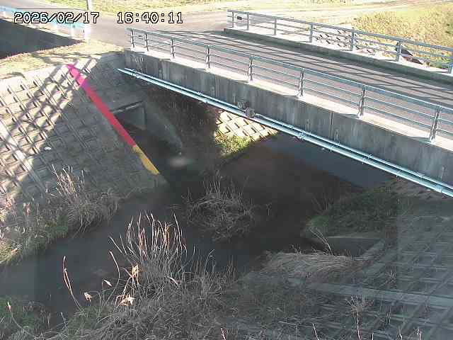 茅町川１2026/02/17 18:30:00