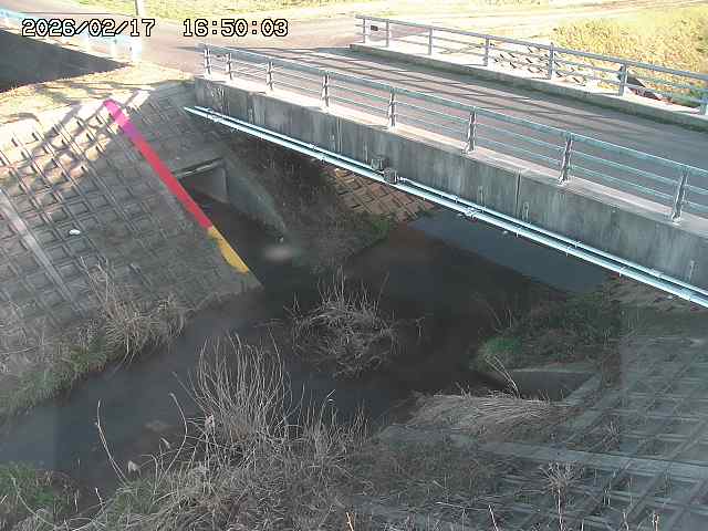 茅町川１2026/02/17 18:30:00