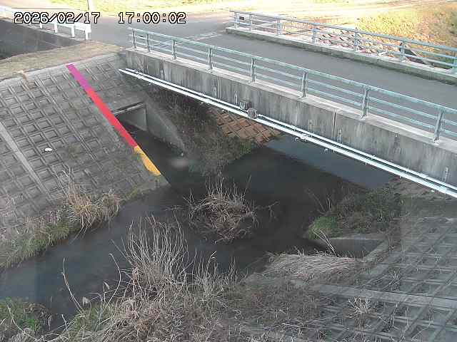 茅町川１2026/02/17 18:30:00