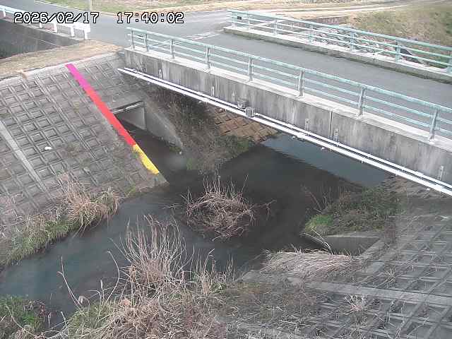 茅町川１2026/02/17 18:30:00