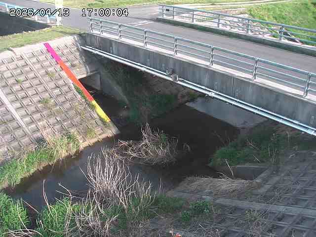茅町川１2026/04/14 17:00:00