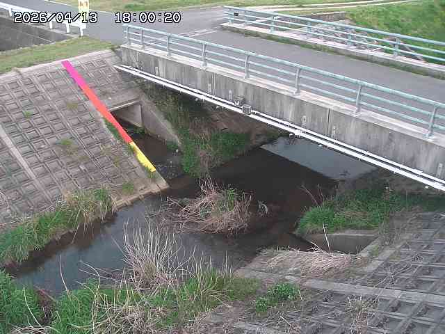 茅町川１2026/04/14 17:00:00