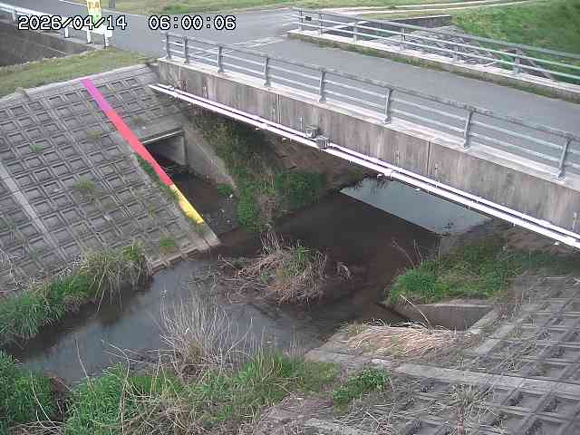 茅町川１2026/04/14 17:00:00